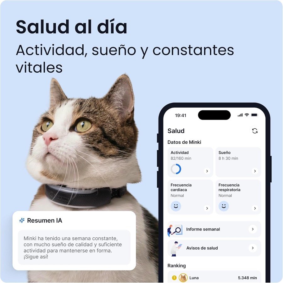 Ver imagen 3 de 6: Gato con el collar Tractive y pantalla de salud de la aplicación con actividad, sueño y frecuencias cardíaca y respiratoria
