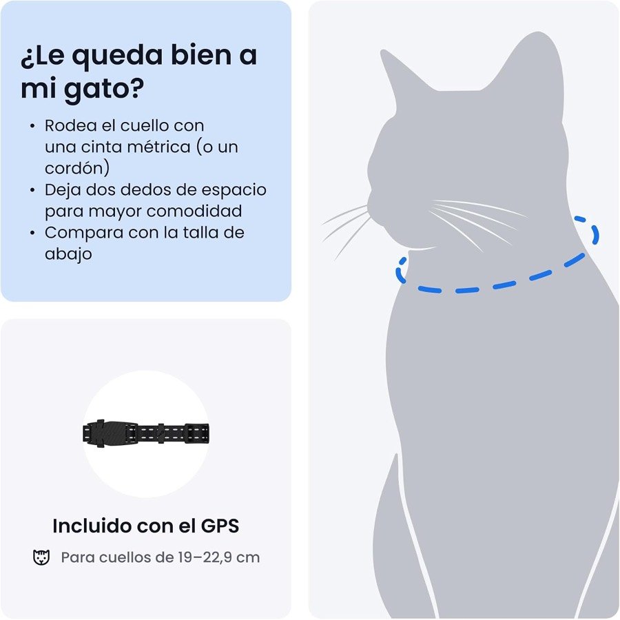Ver imagen 6 de 6: Guía de talla del collar Tractive: medir el cuello del gato dejando dos dedos de holgura, para cuellos de 19 a 22,9 cm
