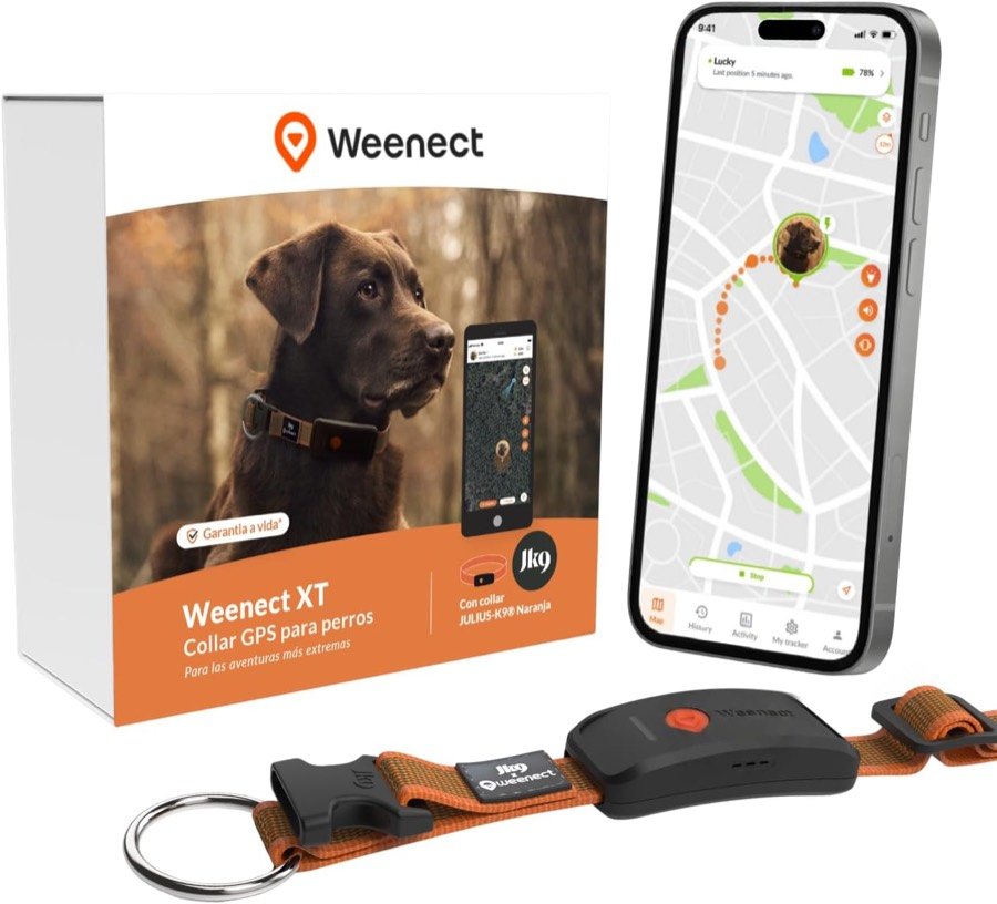 Caja del Weenect XT junto al localizador naranja montado en su collar y un móvil con el recorrido del perro en el mapa