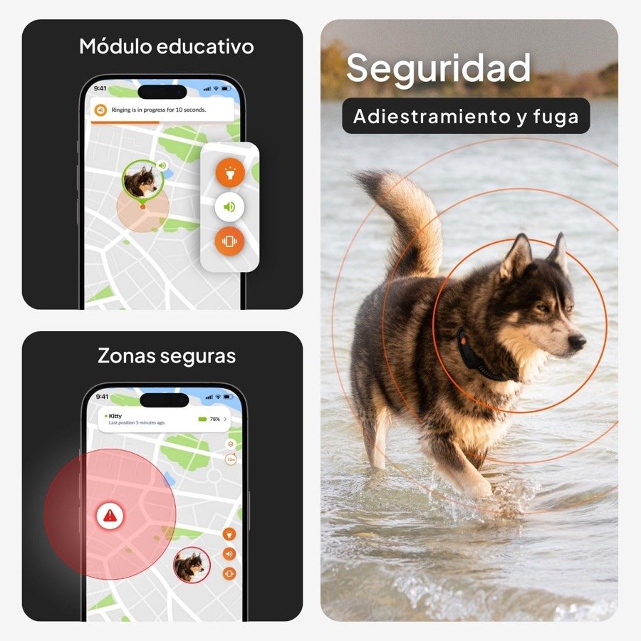 Ver imagen 5 de 6: Perro saliendo del agua con el localizador y pantallas de zonas seguras y del módulo de adiestramiento de la aplicación