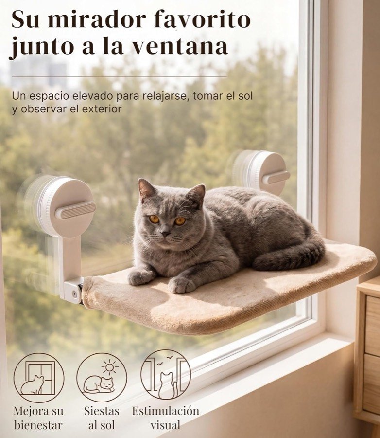 Ver imagen 3 de 6: Gato gris tumbado en la hamaca BV Bruver fijada a una ventana