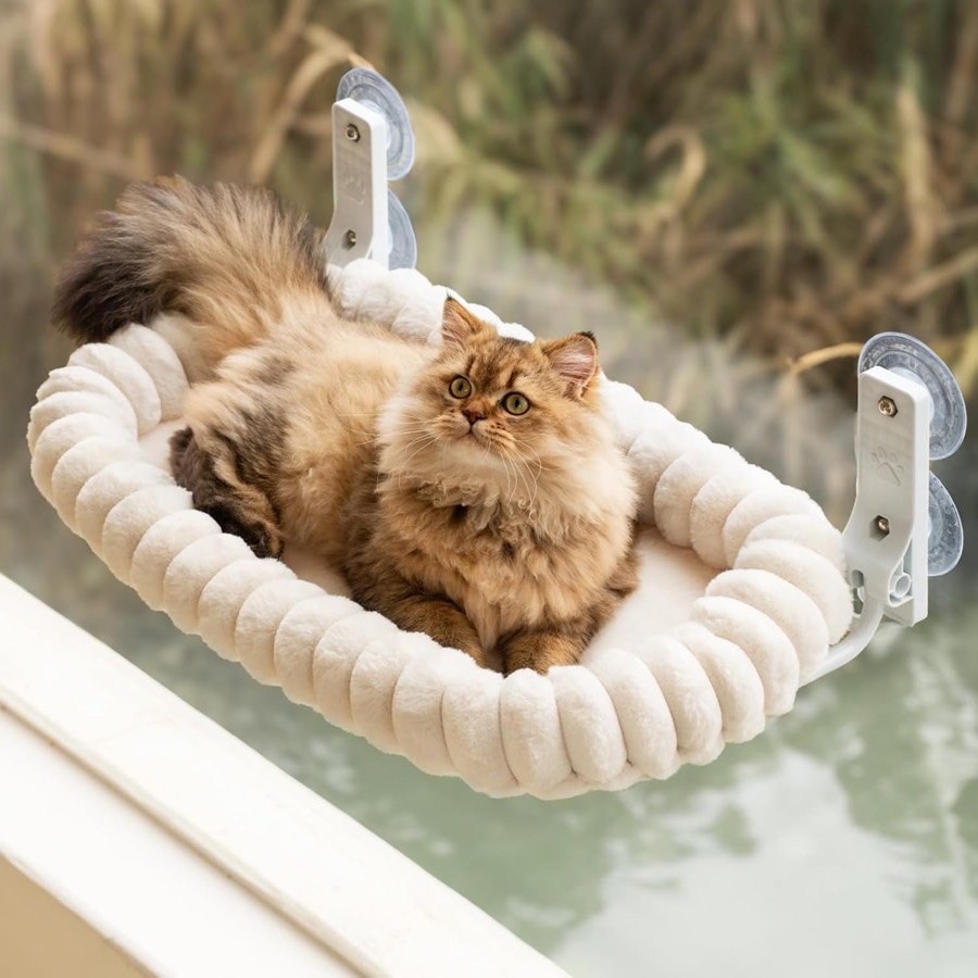 Gato persa en la hamaca EDAGNY de felpa blanca acolchada fijada a una ventana con ventosas