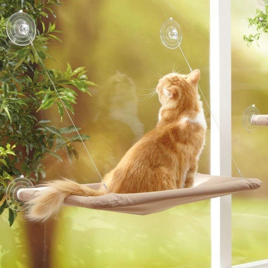 Gato naranja sentado en la hamaca YIQI colgada de una ventana, mirando hacia fuera