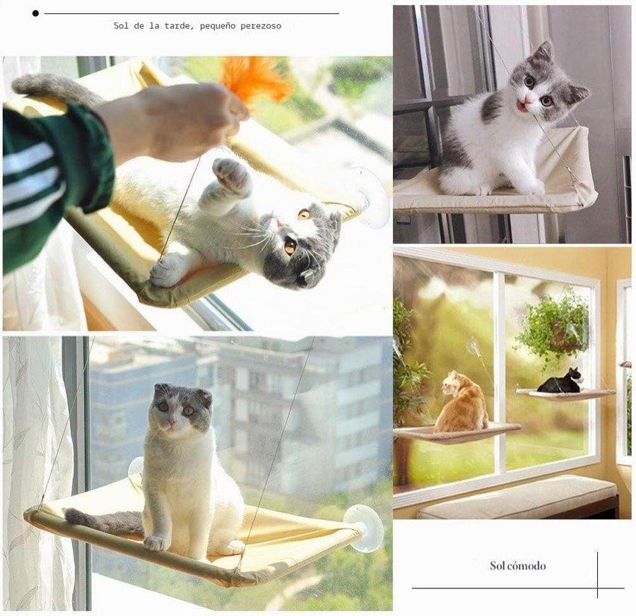 Ver imagen 3 de 6: Collage de gatos en la hamaca YIQI: jugando con una pluma, mirando a cámara y tumbados al sol