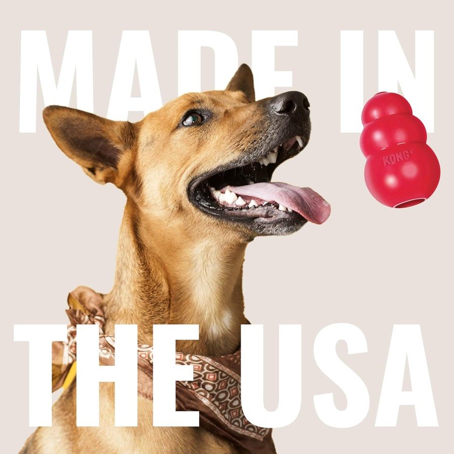 Ver imagen 6 de 6: Perro mestizo mirando hacia arriba junto a un KONG rojo, con el texto «Made in the USA»