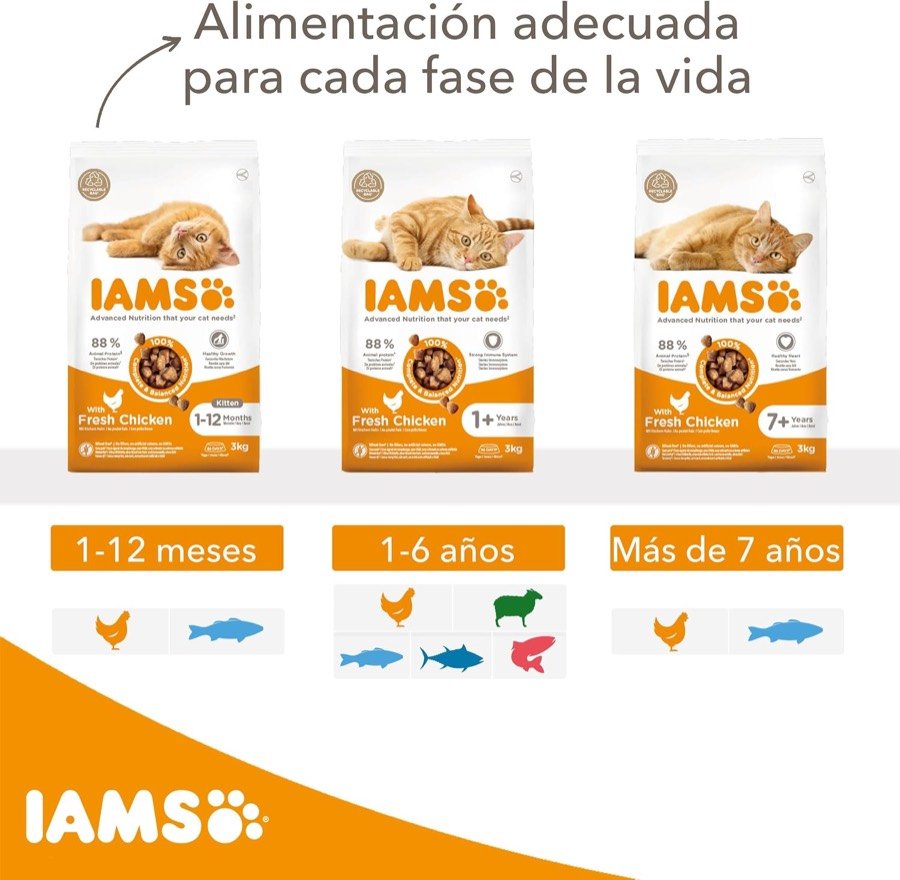 Ver imagen 5 de 6: Los tres piensos IAMS por etapa de vida: de 1 a 12 meses, de 1 a 6 años y más de 7 años