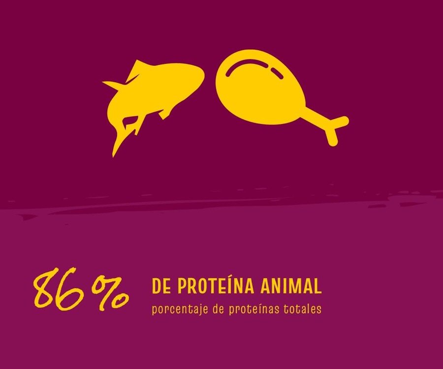 Ver imagen 2 de 6: Lámina del fabricante con el reclamo de 86 % de proteína animal sobre el total de proteínas
