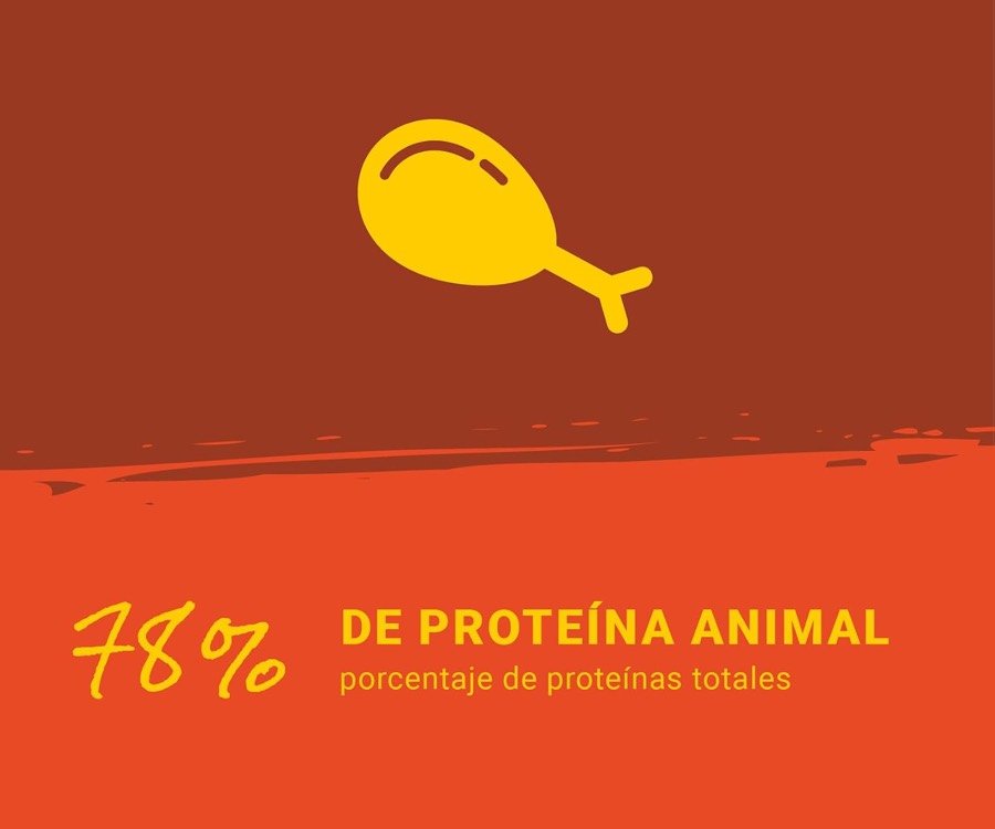 Ver imagen 3 de 6: Lámina del fabricante con el reclamo de 78 % de proteína animal sobre el total de proteínas
