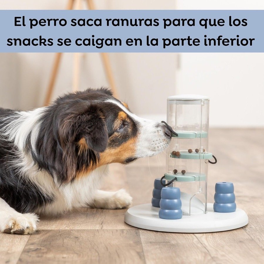 Ver imagen 3 de 6: Perro tricolor tirando con la boca de una de las asas para sacar una bandeja y que los premios caigan a la base