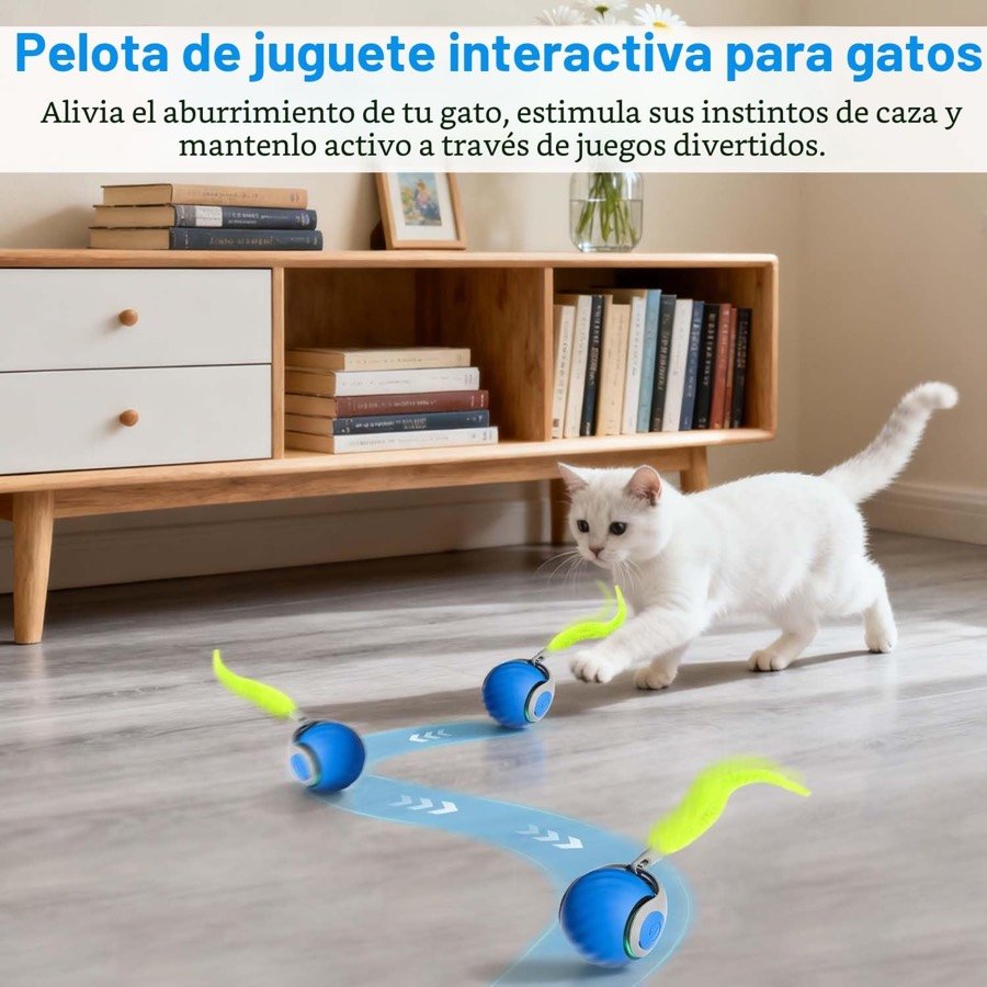 Ver imagen 2 de 6: Un gato blanco persiguiendo la pelota Speedy Tail 2.0 por el salón, con el recorrido aleatorio marcado en el suelo