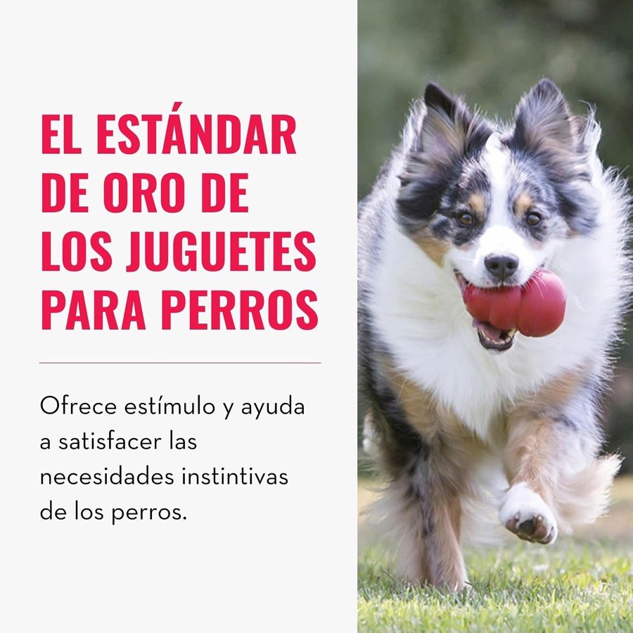 Ver imagen 3 de 6: Imagen de marca de KONG: «El estándar de oro de los juguetes para perros», junto a un perro corriendo con el juguete
