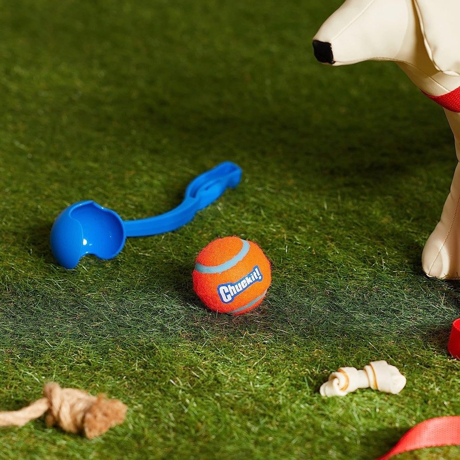 Ver imagen 2 de 6: Pinza azul de un lanzador junto a una pelota Chuckit! naranja sobre el césped, con un perro al fondo