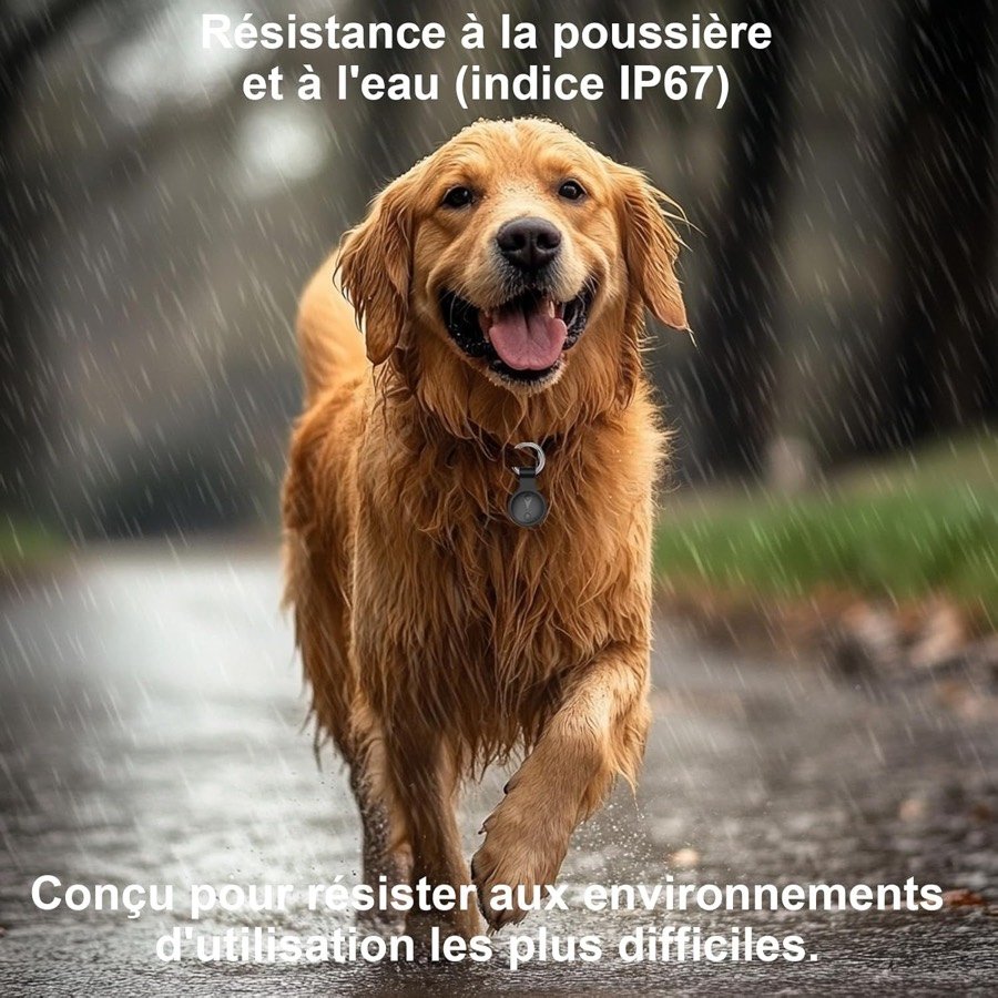 Ver imagen 5 de 6: Perro corriendo bajo la lluvia con el rastreador Yukcxoo y el texto de resistencia al polvo y al agua IP67
