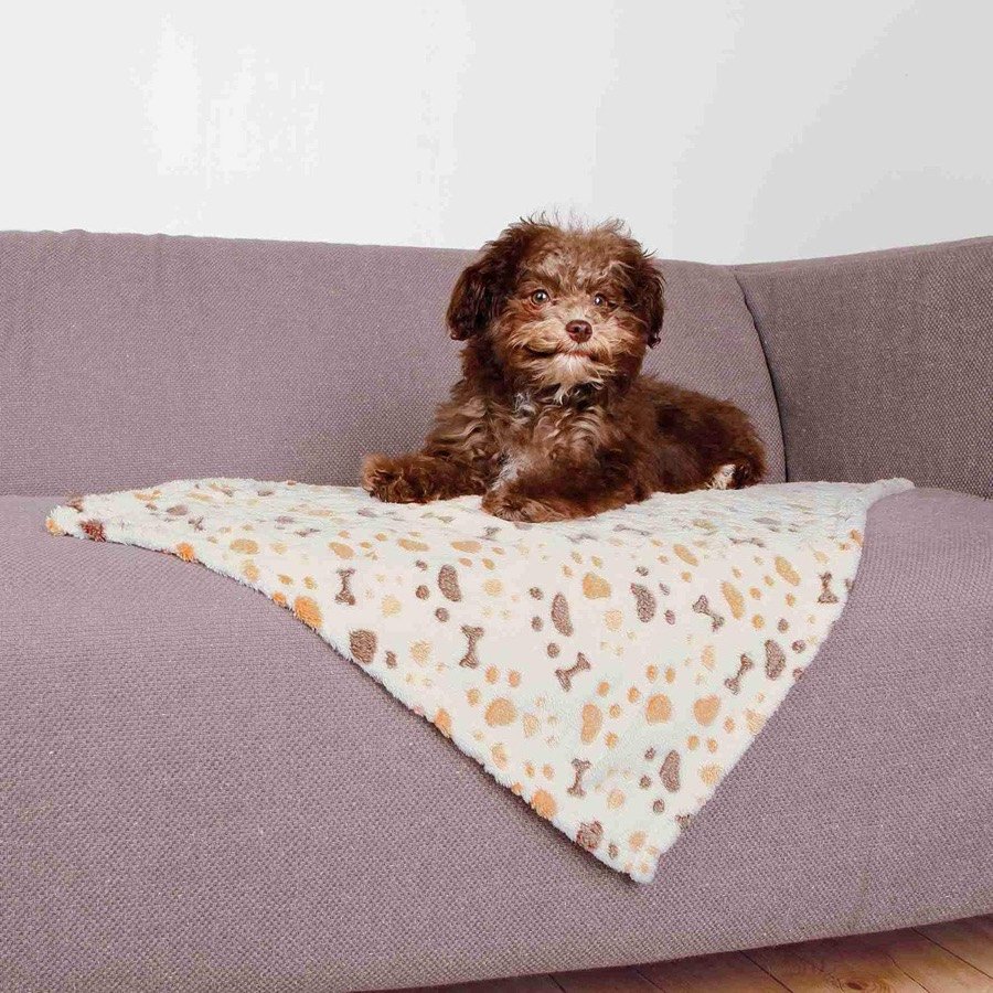 Ver imagen 2 de 2: Cachorro de pelo rizado marrón sentado sobre la manta Trixie Lingo extendida en un sofá