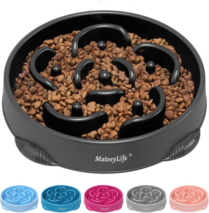 Comedero antivoracidad MateeyLife negro lleno de pienso, con los colores disponibles debajo