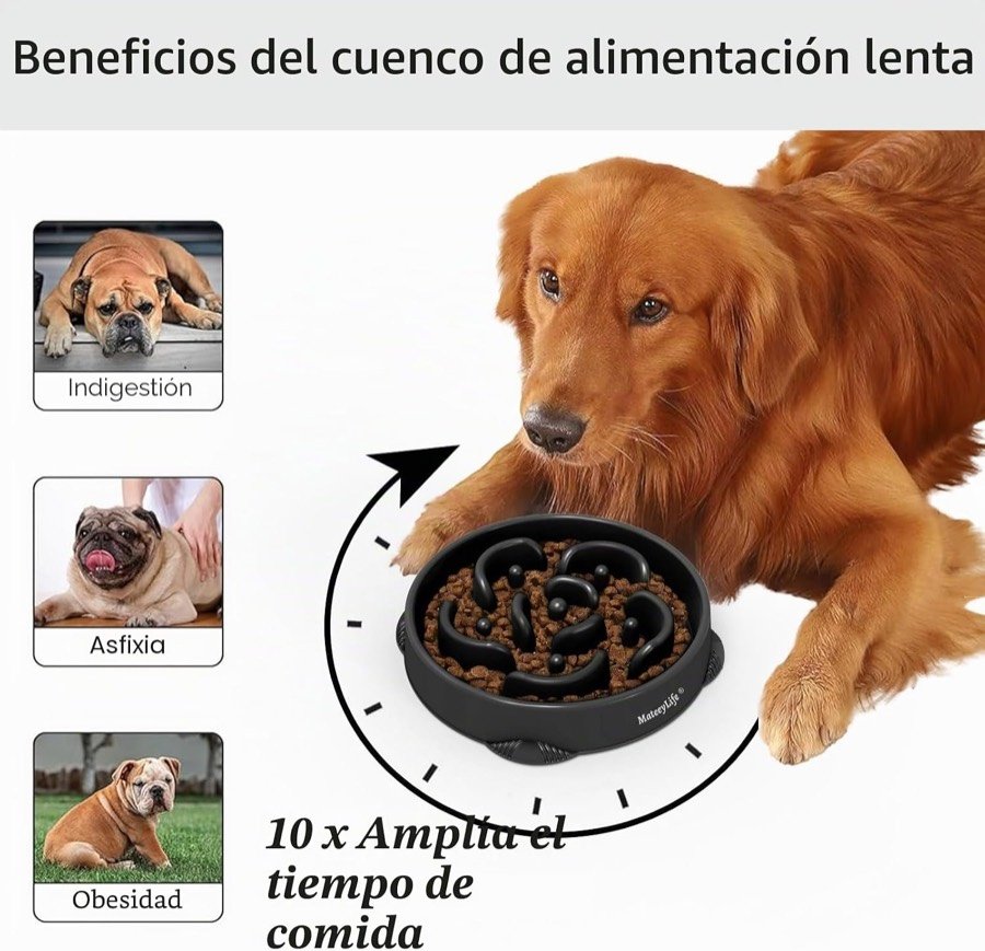 Ver imagen 2 de 6: Lámina del fabricante sobre indigestión, asfixia y obesidad, con el reclamo de multiplicar por diez el tiempo de comida