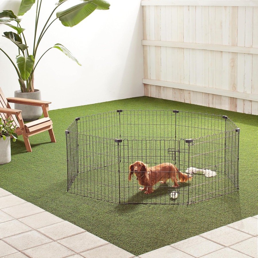Ver imagen 5 de 5: Perro salchicha dentro del parque Amazon Basics montado sobre césped artificial en un patio
