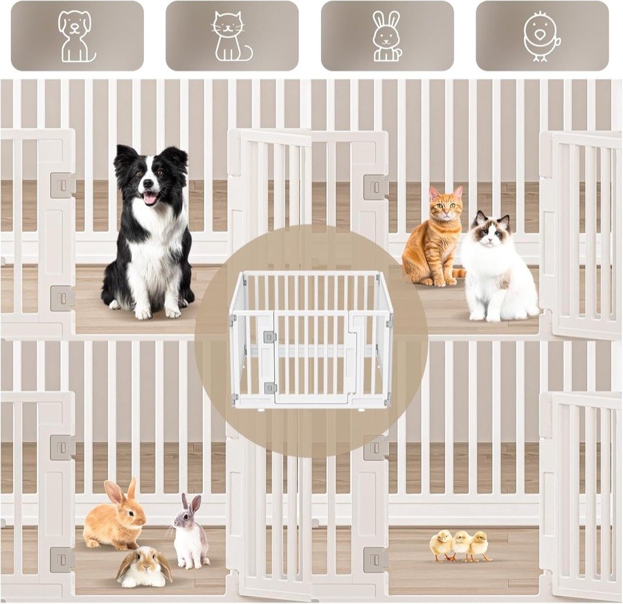 Ver imagen 5 de 6: Parques Gupamiga con un border collie, dos gatos, conejos y pollitos, e iconos de perro, gato, conejo y ave