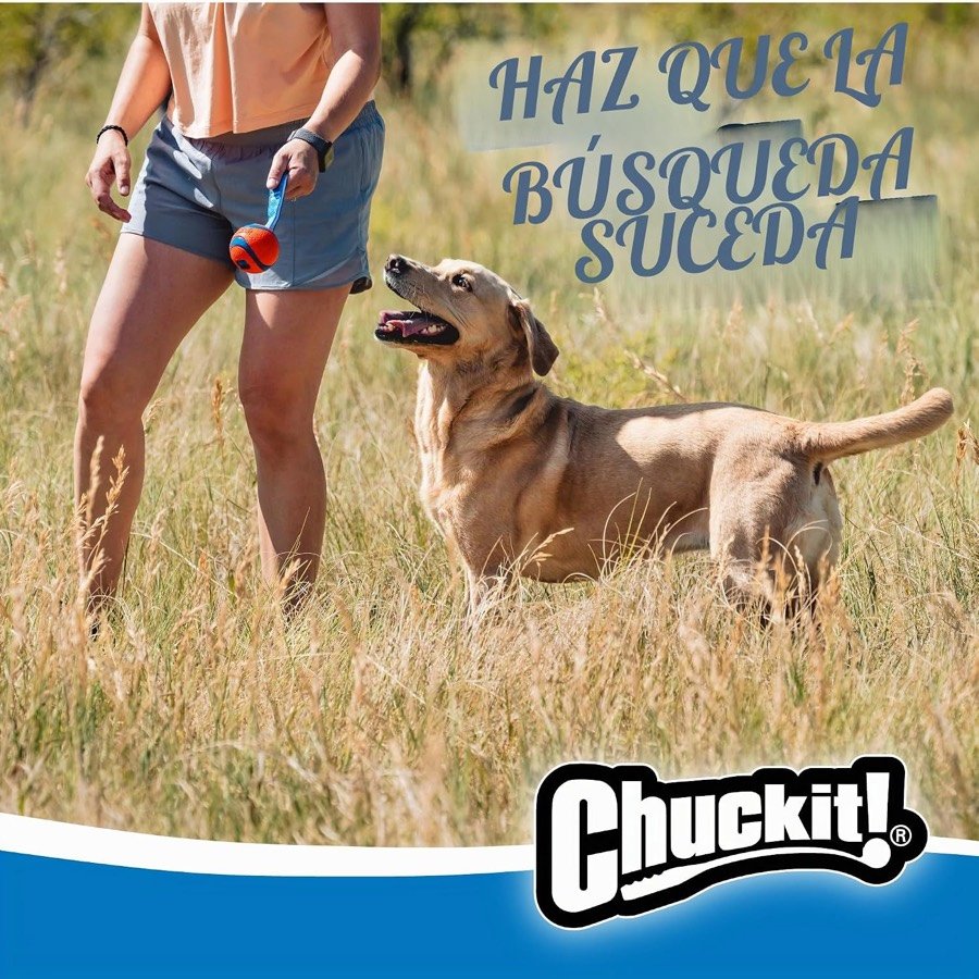 Ver imagen 3 de 6: Perro canela mirando a su dueña, que sujeta la Ultra Tug por la cinta en un campo