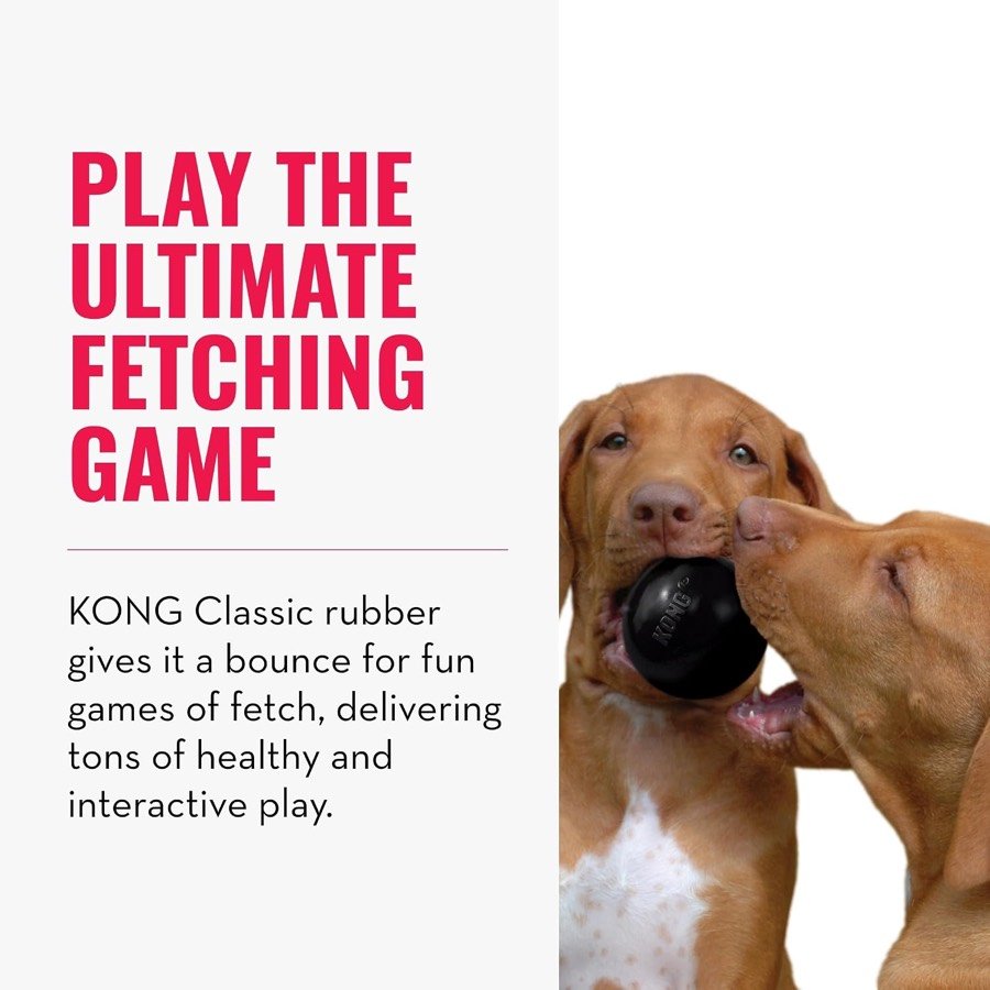 Ver imagen 4 de 6: Dos perros de caza con la pelota negra en la boca, con el texto del fabricante sobre el juego de lanzar