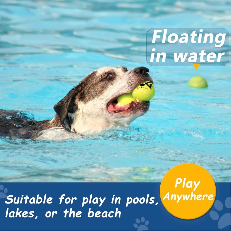 Ver imagen 6 de 6: Perro nadando en una piscina con una pelota en la boca, para mostrar que flotan