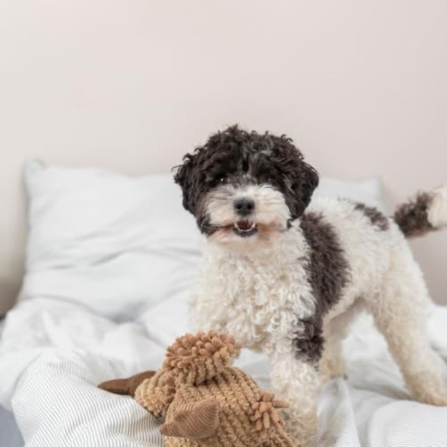 Ver imagen 4 de 5: Medidas del peluche Trixie Gustav: 28 centímetros de alto