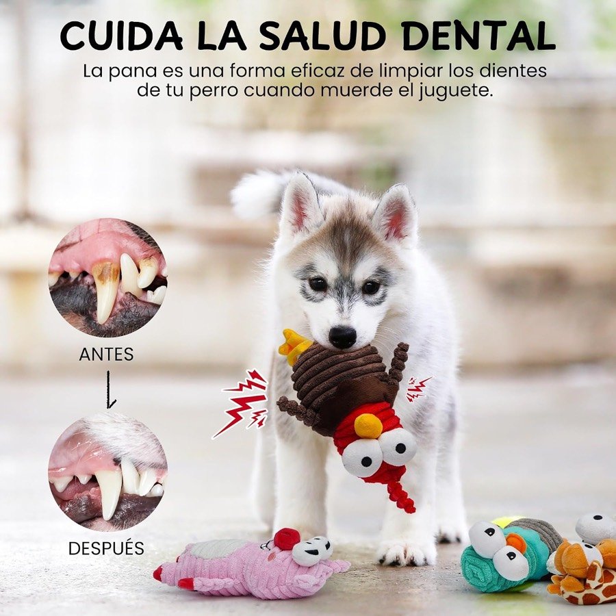 Ver imagen 5 de 6: Cachorro de husky jugando con los peluches Nocciola, con una comparación de dientes que propone el fabricante