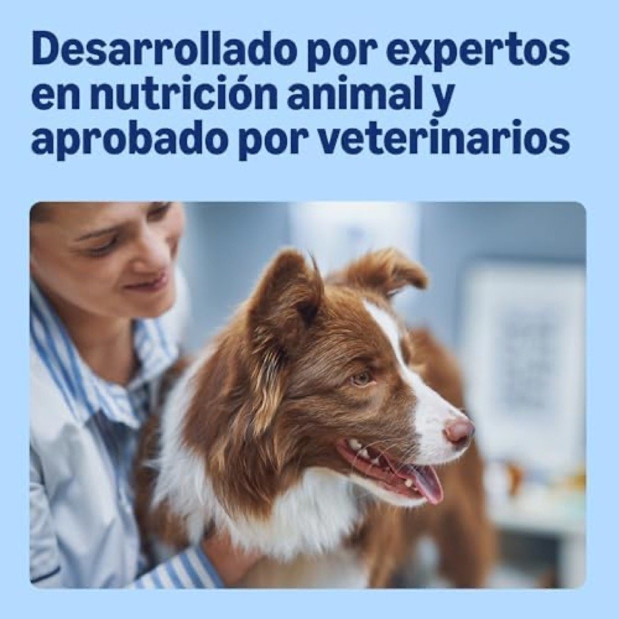 Ver imagen 4 de 6: Ingredientes principales del pienso by Amazon: vacuno y guisantes deshidratados