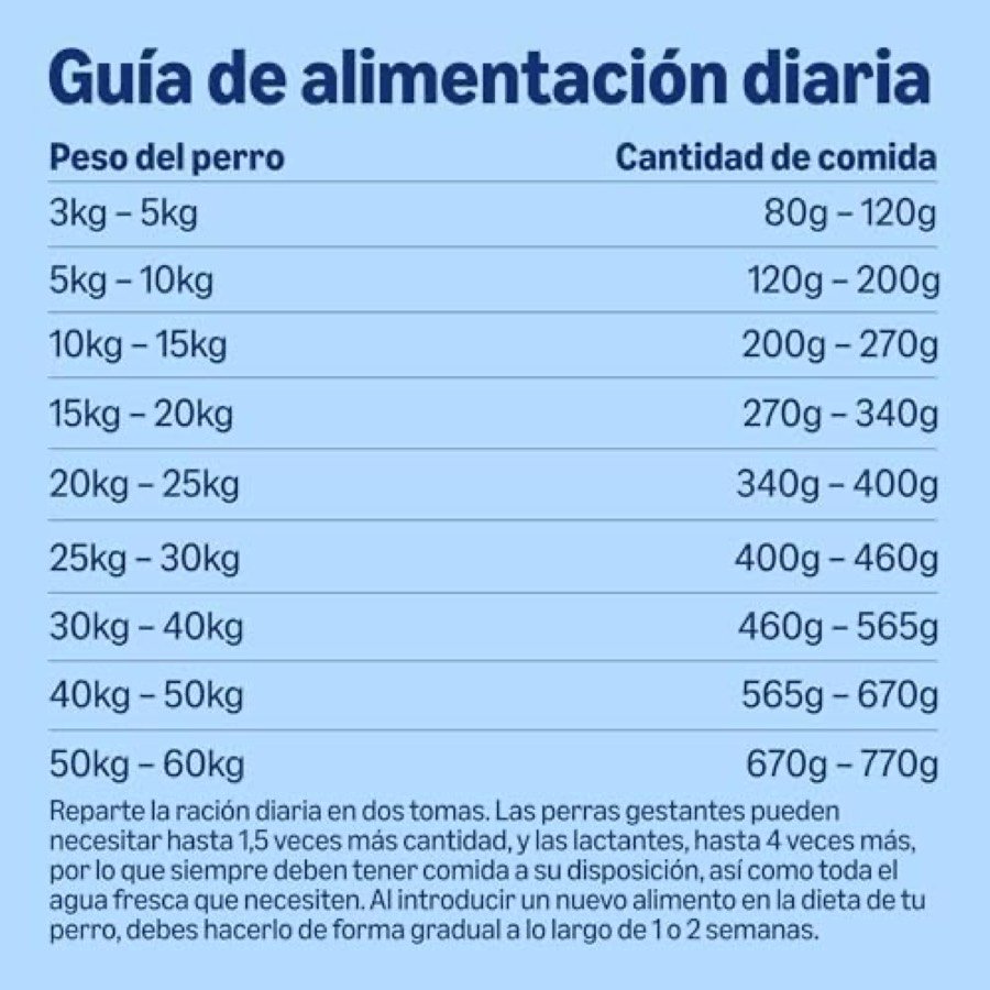 Ver imagen 6 de 6: Perro adulto de raza mediana comiendo pienso by Amazon de un cuenco