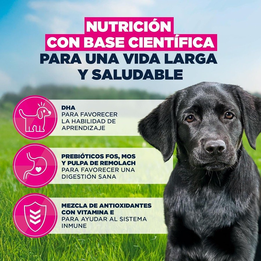 Ver imagen 5 de 6: Lámina con los tres pilares declarados: DHA, prebióticos FOS y MOS y antioxidantes con vitamina E