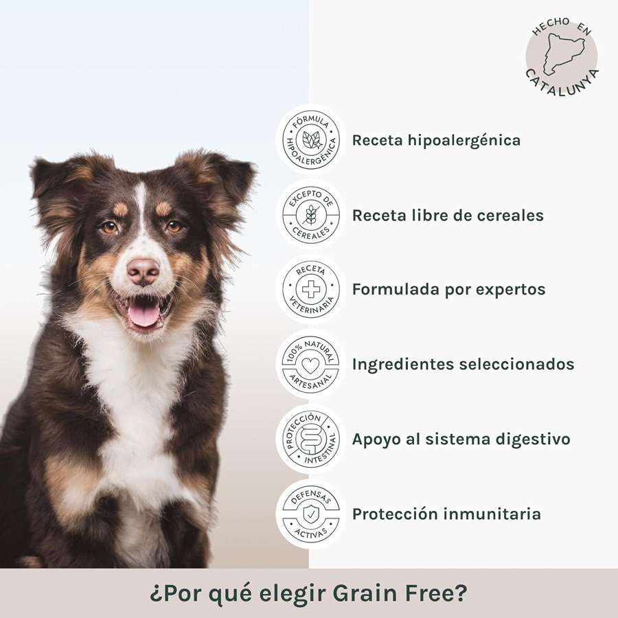Ver imagen 2 de 6: Lámina del fabricante con un border collie y la lista de motivos para elegir la gama Grain Free