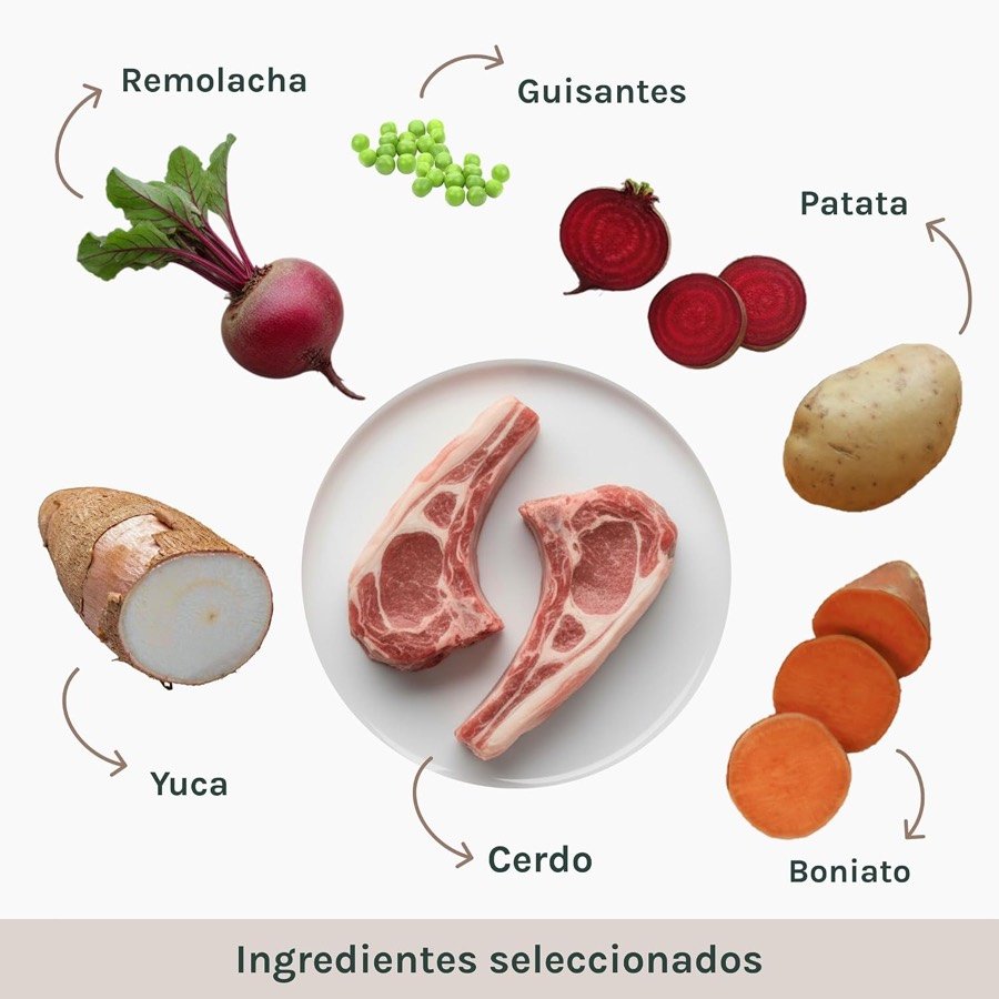 Ver imagen 3 de 6: Ingredientes seleccionados del pienso GALITO: remolacha, guisantes, patata, yuca, cerdo y boniato