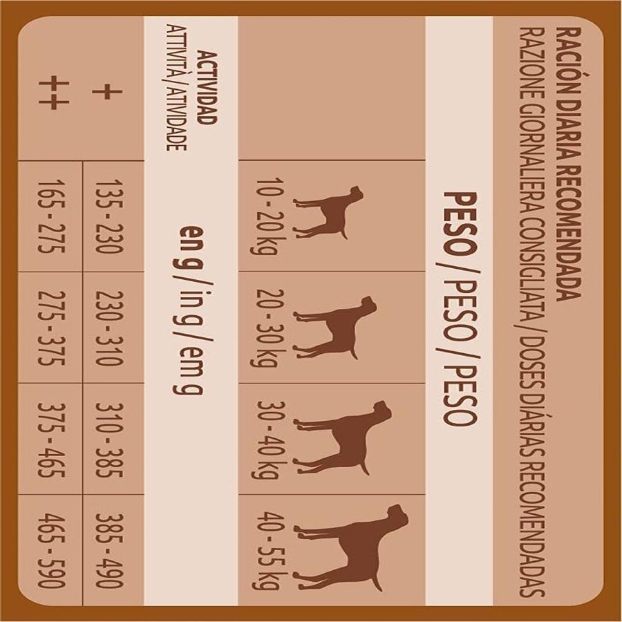 Ver imagen 6 de 6: Perro de raza mediana junto al saco de pienso Ultima Medium-Maxi