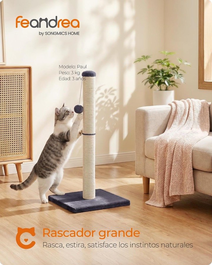 Ver imagen 2 de 6: Gato atigrado rascando el poste en un salón