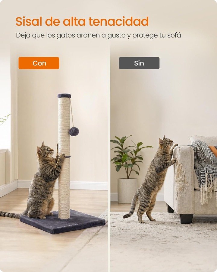 Ver imagen 4 de 6: Comparación entre un gato que rasca el poste y otro que araña un sillón