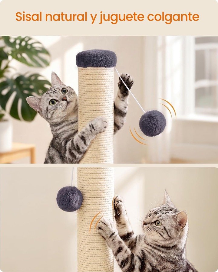 Ver imagen 5 de 6: Dos gatos atigrados jugando con el pompón colgante del poste de sisal