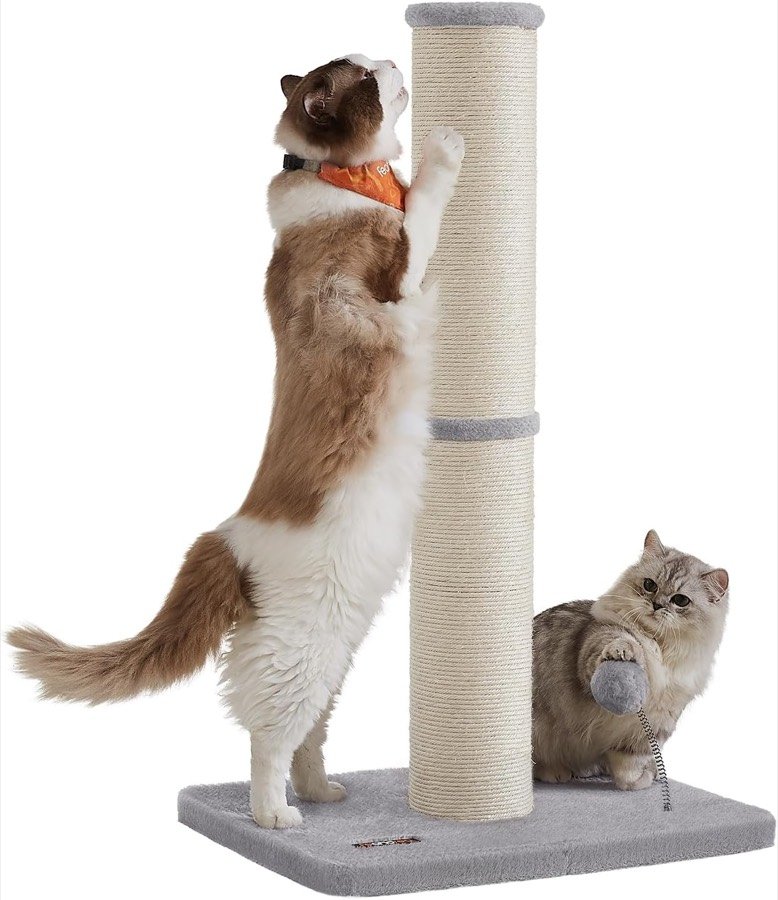 Gato blanco y marrón estirado sobre el poste rascador Feandrea de 85 cm, con otro gato jugando con el pompón
