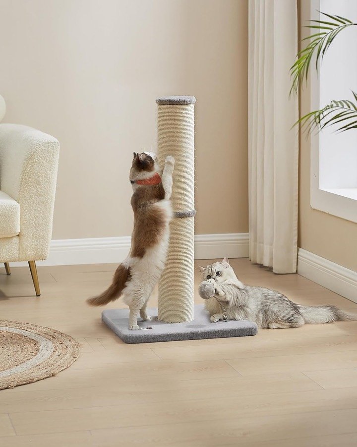 Ver imagen 2 de 6: Poste rascador Feandrea en un salón, con un gato rascando y otro tumbado junto a la base gris