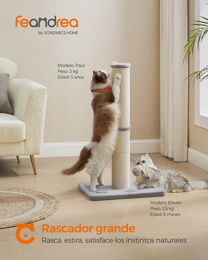 Ver imagen 3 de 6: Dos gatos de distinta edad usando el poste rascador grande en un salón