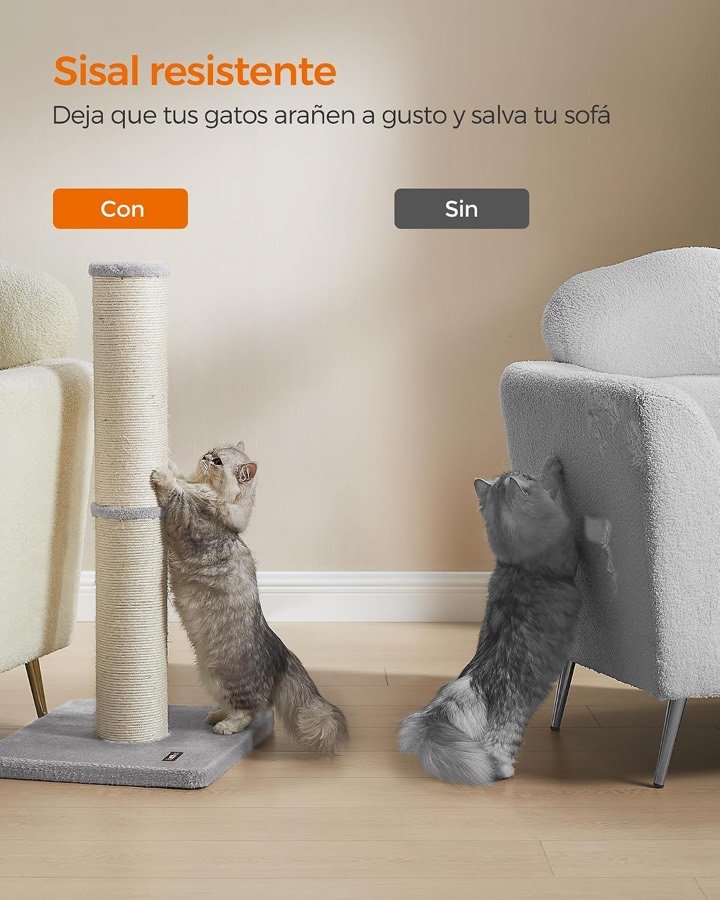 Ver imagen 5 de 6: Comparación entre un gato que rasca el poste y otro que araña el sofá