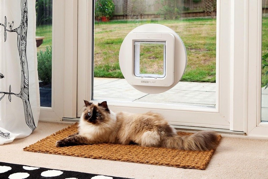Ver imagen 2 de 3: Gato de pelo largo tumbado en el felpudo junto a una puerta acristalada con la gatera SureFlap grande instalada