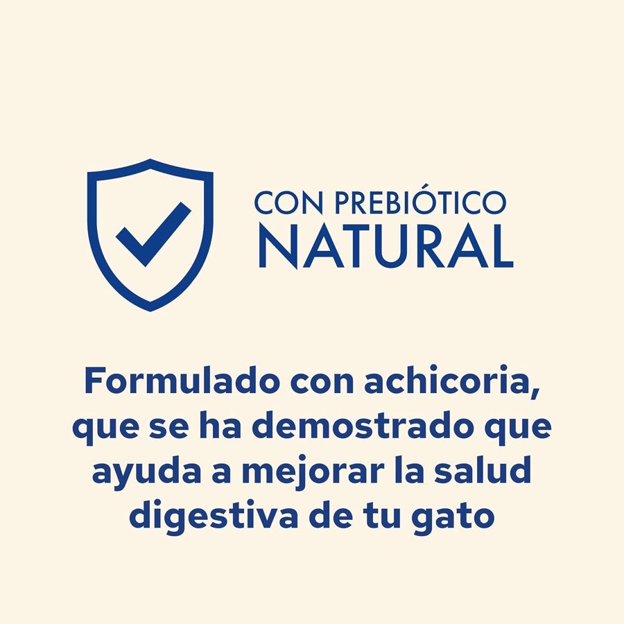 Ver imagen 5 de 6: Lámina de Purina sobre la achicoria como prebiótico natural para la salud digestiva del gato