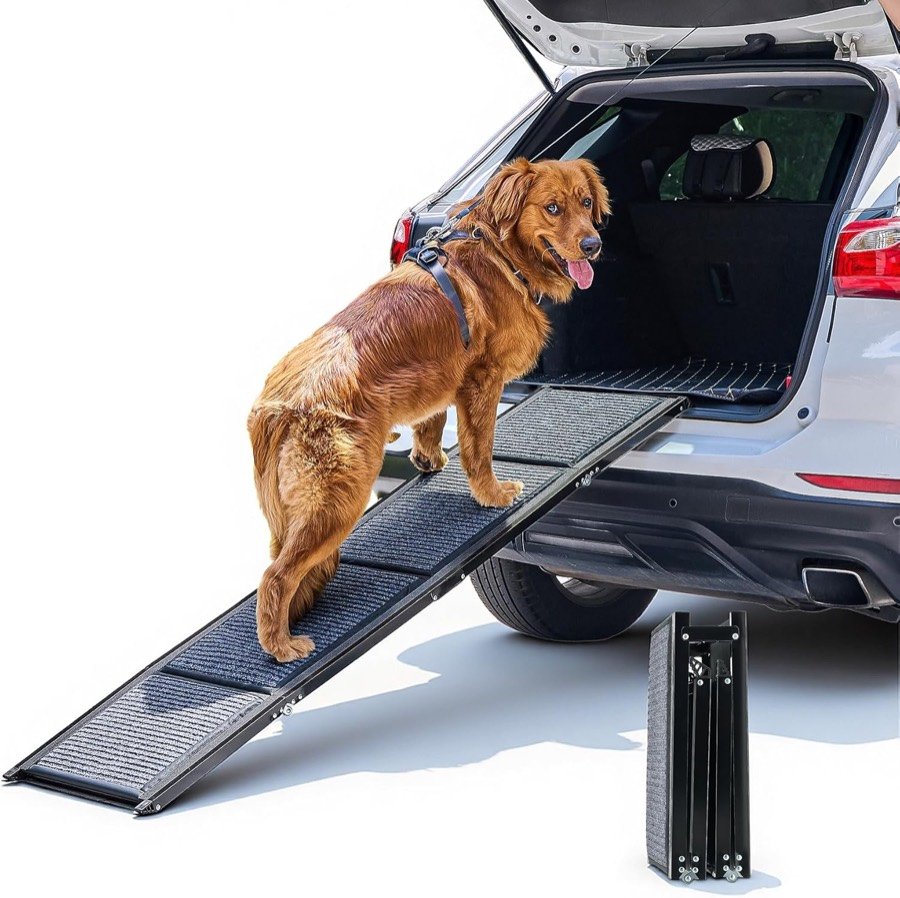Perro de pelo largo rojizo subiendo al maletero de un SUV blanco por la rampa CO-Z de 160 cm, con la rampa plegada al lado