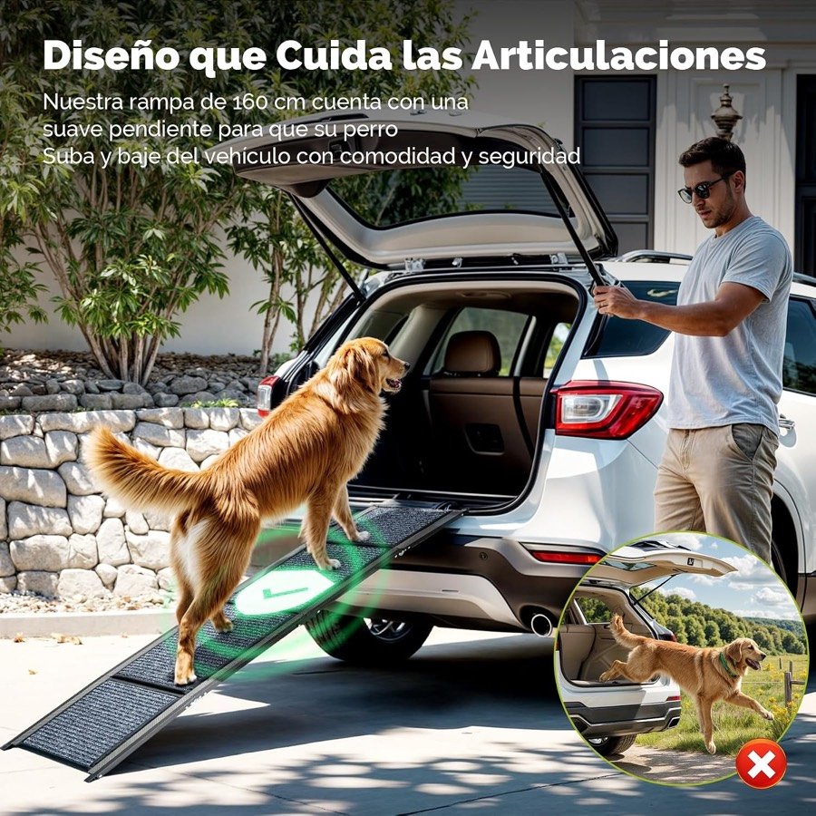Ver imagen 3 de 6: Golden retriever subiendo al maletero por la rampa CO-Z mientras su dueño sujeta el portón, frente a un perro saltando tachado