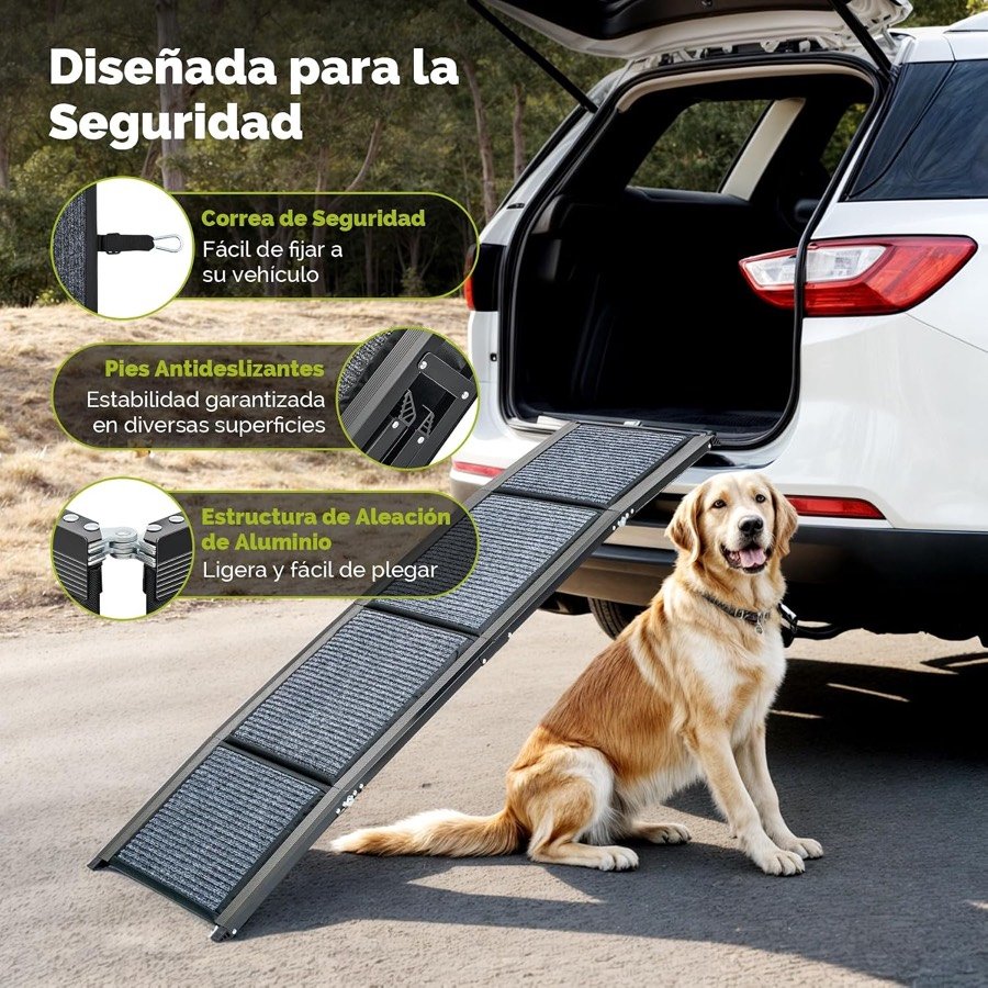 Ver imagen 4 de 6: Golden retriever sentado junto a la rampa CO-Z apoyada en el maletero, con la correa de seguridad, los pies antideslizantes y la estructura de aluminio