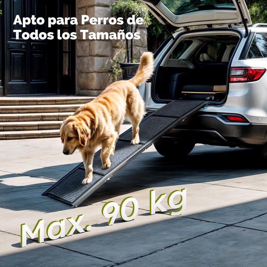 Ver imagen 5 de 6: Golden retriever bajando por la rampa CO-Z desde el maletero, con el rótulo de carga máxima de 90 kg