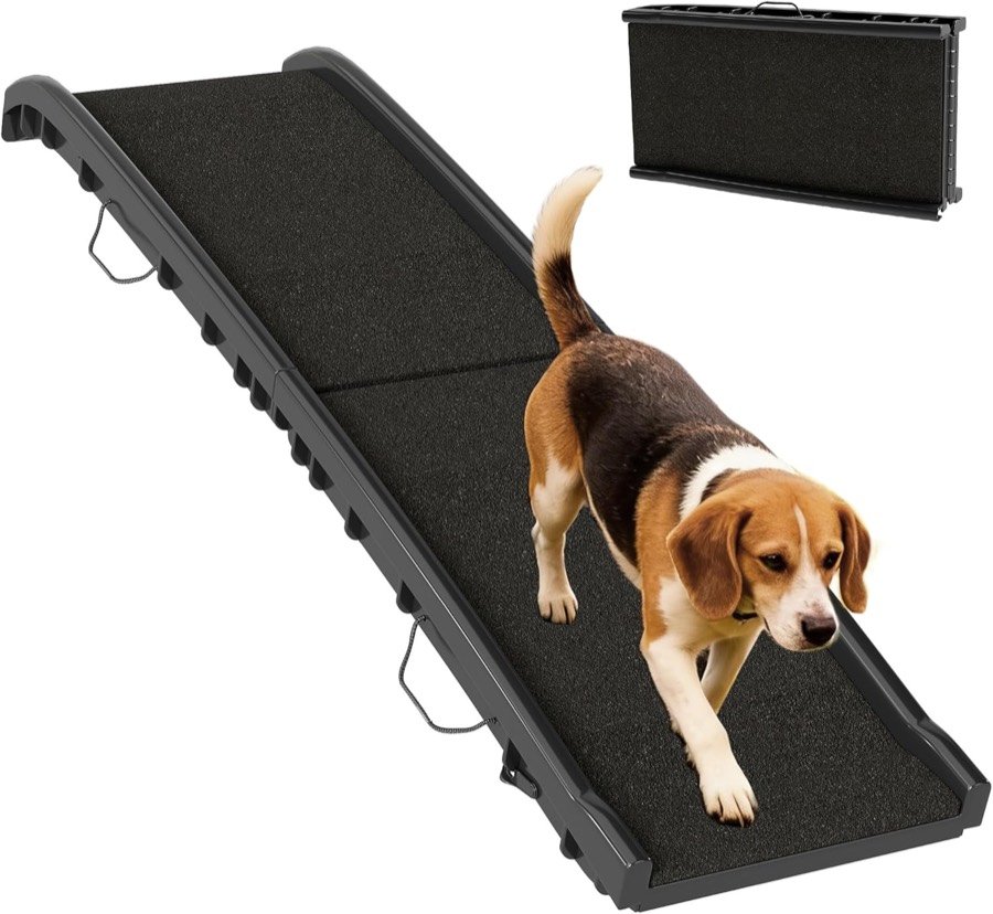 Beagle bajando por la rampa plegable PawHut negra de superficie esmerilada, con la rampa plegada en forma de maleta al fondo
