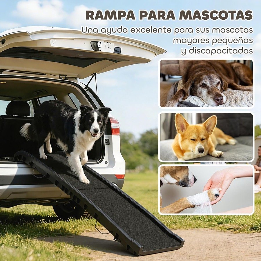 Ver imagen 3 de 6: Border collie bajando del maletero por la rampa PawHut, con miniaturas de perros mayores, pequeños y con movilidad reducida