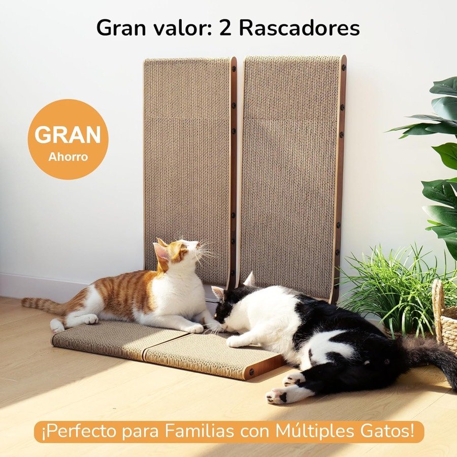 Ver imagen 3 de 6: Dos gatos tumbados delante de los dos rascadores apoyados en la pared