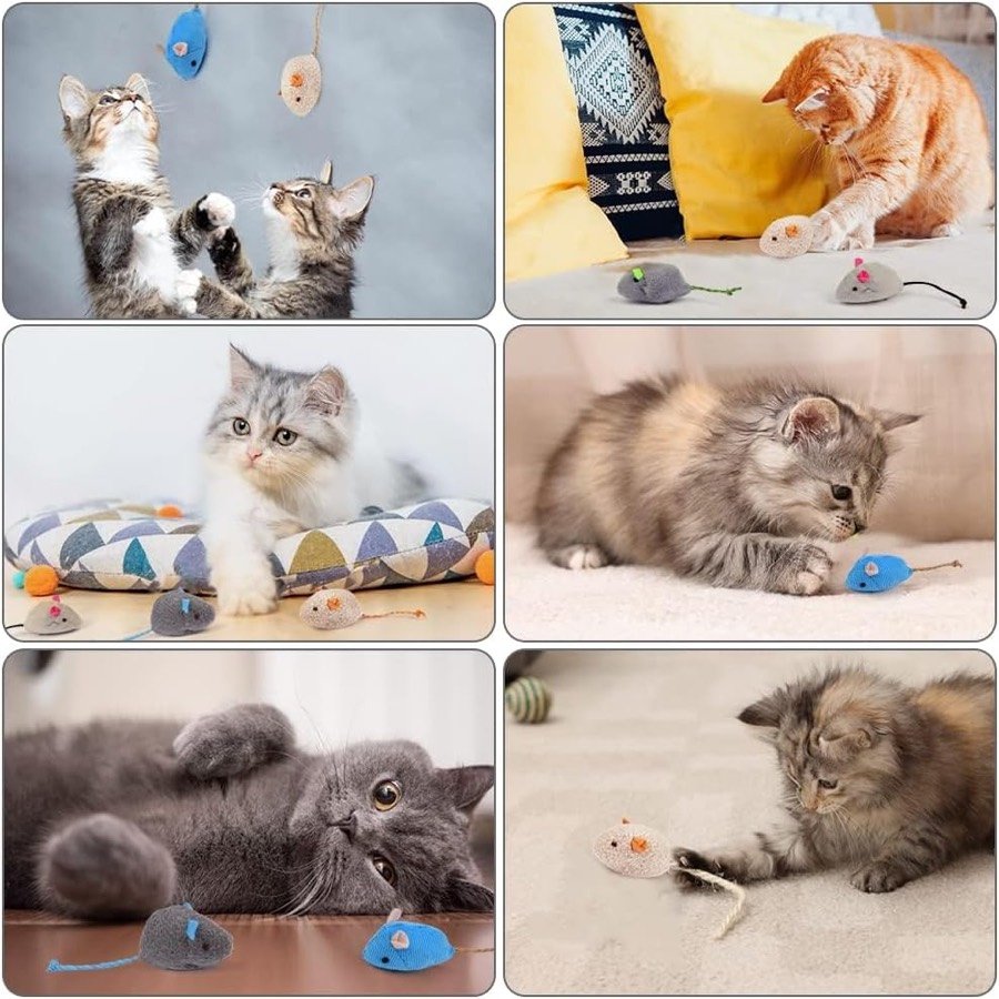 Ver imagen 5 de 6: Seis fotos de gatos y gatitos jugando con los ratones de colores
